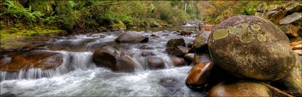 Bogong - VIC (PBH3 00 34437)